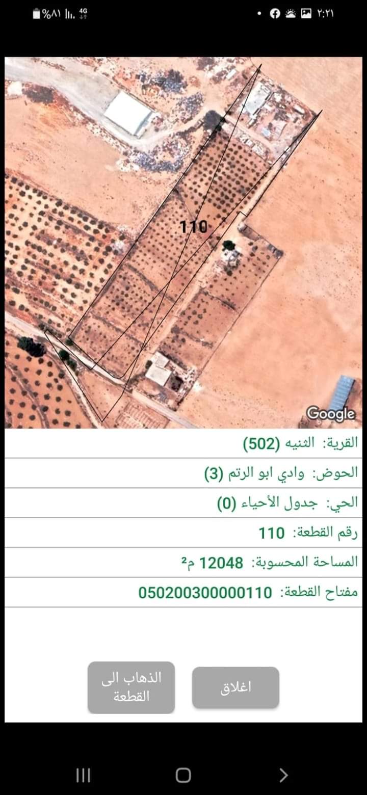 12 دونم